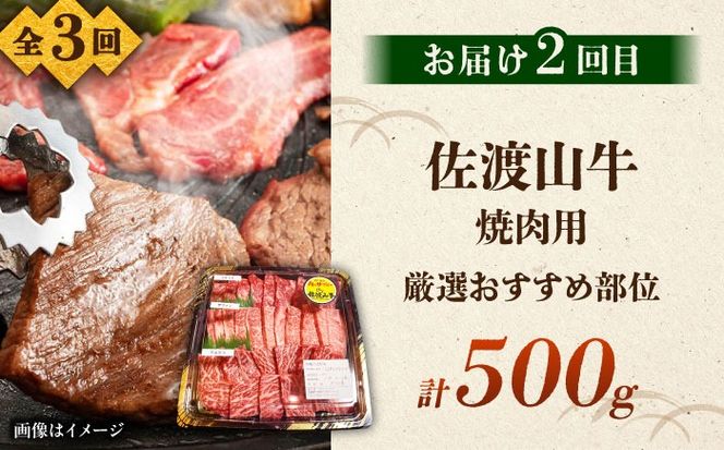 【全3回定期便】沖縄ブランド牛を堪能！贅沢お肉定期便【沖縄市】牛肉 和牛 サーロインステーキ 焼肉 赤身 沖縄市 / 肉のサブロー / お肉屋本店[BCZZ027]