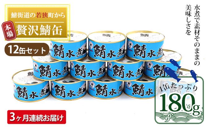 【3ヶ月連続お届け】若狭の鯖缶12缶セット（水煮） 加工食品 魚の加工品 鯖の缶詰 水煮缶 鯖の水煮 鯖の水煮缶 つまみ 調理 食材 魚の缶詰 お魚 食品 ストック 塩味 ノルウェー産 ノルウェー産鯖 DHA 便利 手軽 酒のあて 