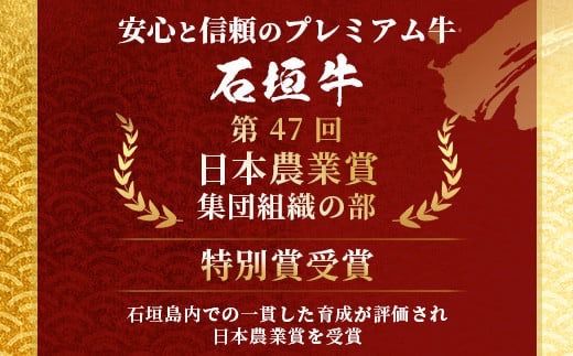 やえやまファームの石垣牛ハンバーグ 6個セット E-27