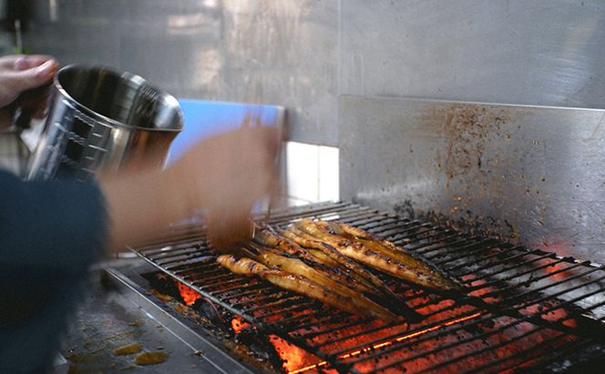 穴子 焼き穴子 240g 舌平目 煮付け 2尾 セット 蒲焼き 小分け 真空パック 厳選 特選 不揃い 小ぶり 魚貝類 魚介類 おかず 和食 魚料理 青島 冷蔵 冷蔵配送 岡山 岡山県 瀬戸内市