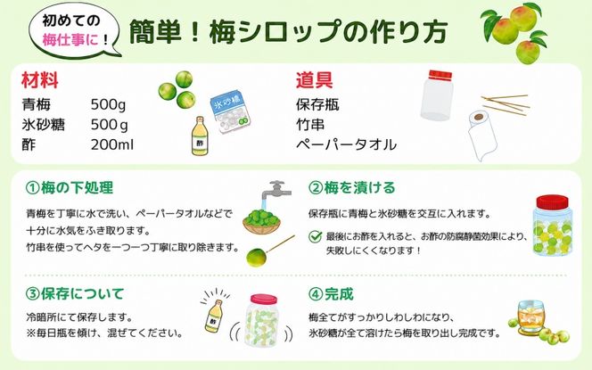 青梅 10kg 秀品 Mサイズ 以上 サイズおまかせ / 梅酒 梅ジュース 梅 和歌山 梅干し 梅シロップ 和歌山県産 ※2027年6月下旬～7月上旬に順次発送 ※北海道・沖縄・離島への配送不可【frt508-r-10A】