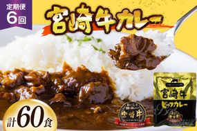 カレー 6回 定期便 レトルト 宮崎牛カレー 160g 10袋 総計60袋 [九州産商 宮崎県 日向市 452061839] 小分け ビーフカレー 宮崎 牛 常備食 保存食 中辛 宮崎牛 備蓄