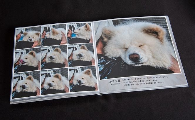 わさおを偲ぶ写真集 オリジナル写真集 