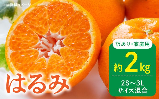 DZ6219_【2027年先行予約】家庭用 訳あり はるみ 和歌山 有田 2S～3Lサイズ混合 約2kg