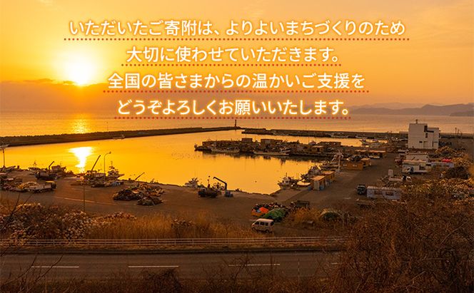 洞爺湖町 寄附のみの応援受付 1,000円コース（返礼品なし 寄附のみ 1000円） 支援 自治体支援 お礼の品なし 北海道 洞爺湖町の発展 ふるさと応援 ふるさと支援 