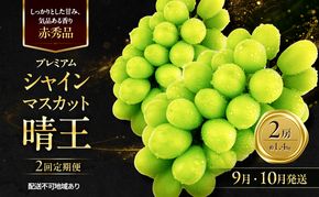 ぶどう 2026年 先行予約 定期便 赤秀ぶどう プレミアム シャインマスカット 晴王 2房 1.4kg 9月・10月 2回発送 船穂産 赤秀品 皮ごと食べる みずみずしい 岡山県産 満天フルーツ