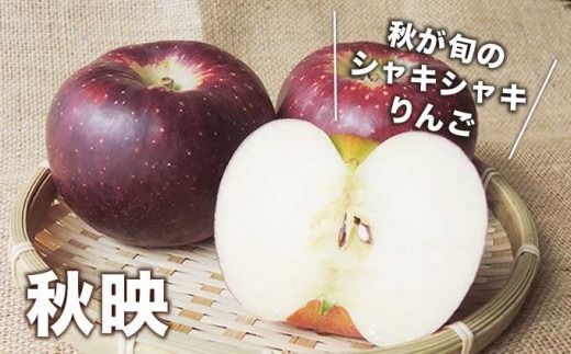 【訳あり】 秋映 約3kg 6～12玉 ［おぶせファーマーズ］ 不揃い 規格外 家庭用 果物 フルーツ りんご 林檎 リンゴ 長野県産 信州産 令和7年産 【2025年9月下旬〜10月中旬発送】 ［FH-52］