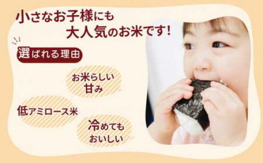 【先行予約】令和8年産 茨城県産 ミルキークイーン 精米 18kg (2kg×9袋) ｜ミルキークイーンは粘りが強くかつ柔らかいお米。 ※2026年10月～発送