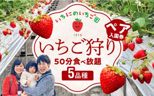 いちご狩り 5品種 食べ放題 50分 ペア 入園券 N085-YB356