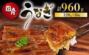 うなぎ 国産 蒲焼 120g × 8尾 計960g 鰻蒲焼 ウナギ 土用 丑の日 JAS認定 活鰻 特製無添加たれ 山椒 ギフト 贈答 冷凍 養殖 真空パック レンジ 調理 湯煎 まとめ買い 静岡県 藤枝