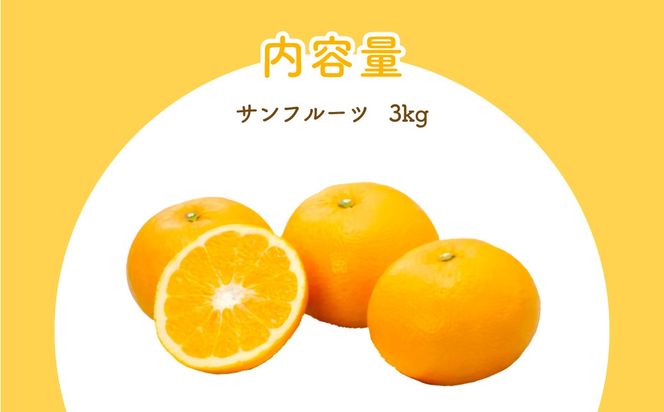 【先行予約】サンフルーツ（生果3kg）※離島への配送不可（2026年2月上旬より順次発送予定） IKTBD012