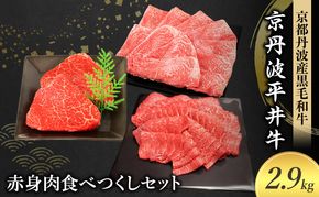 国産黒毛和牛 赤身肉食べつくしセット 2.9kg 京丹波平井牛 京都丹波産