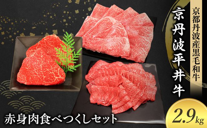 国産黒毛和牛 赤身肉食べつくしセット 2.9kg 京丹波平井牛 京都丹波産