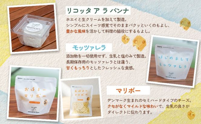 竹下牧場 takeshita farm 【6ヶ月配送】リコッタチーズセット 計470g【24019】