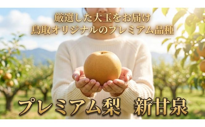 【先行予約】鳥取県産 新甘泉 梨 4Lサイズ 6玉 大玉  しんかんせん なし フルーツ 果物 鳥取オリジナル 312011_GN004