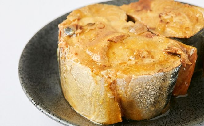 若狭の鯖缶 3缶 セット 詰め合わせ しょうゆ仕立て サバ缶 鯖缶 さば缶 さばの缶詰 鯖の缶詰 サバ 鯖 さば 缶詰 缶詰め 魚 お魚 魚介 魚介類 惣菜 水産加工 加工品 福井 福井県 若狭町