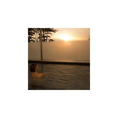 全日 さんねむ温泉 ペア宿泊券[2名:1泊朝食付・スタンダードツイン] 旅行券 チケット 