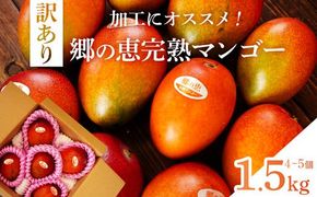 【訳あり】 1.5kg 大崎完熟マンゴー「郷の恵（さとのめぐみ）」加工用マンゴー（糖度10度前後） 464686_BD008