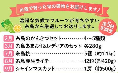 【全5回】糸島厳選くだもの定期便 約2人前 フルーツ 果物 糸島市 / やますえ あまおう シャインマスカット 桃 ライチ [AKA072]