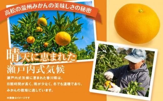 【先行予約】瀬戸内温州みかん　M～3Sサイズ　約2.5kg【2026年10月上旬～2027年1月下旬配送予定】 372013_T006-762J