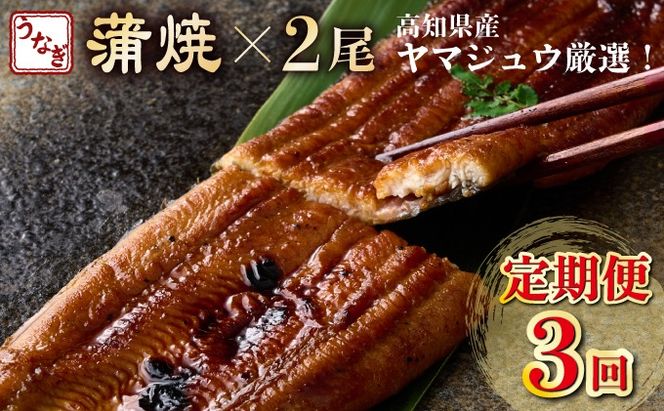 ヤマジュウ厳選！国産蒲焼き２尾【３回定期便】yj046