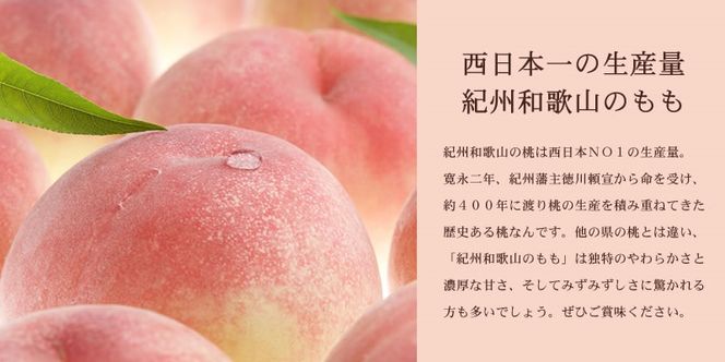 和歌山の桃 秀品 [約3.8～4kg] (サイズ・品種おまかせ) ※2026年6月中旬～2026年8月中旬頃に順次発送予定　紀伊国屋文左衛門本舗 和歌山 もも モモ 桃 果物 フルーツ 人気 産地直送 和歌山県 お取り寄せ【sgtb800B】
