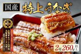 御礼！ランキング第1位獲得！（6月発送）国産　特上うなぎ 2尾 合計 260g 以上【OT000O130_006】