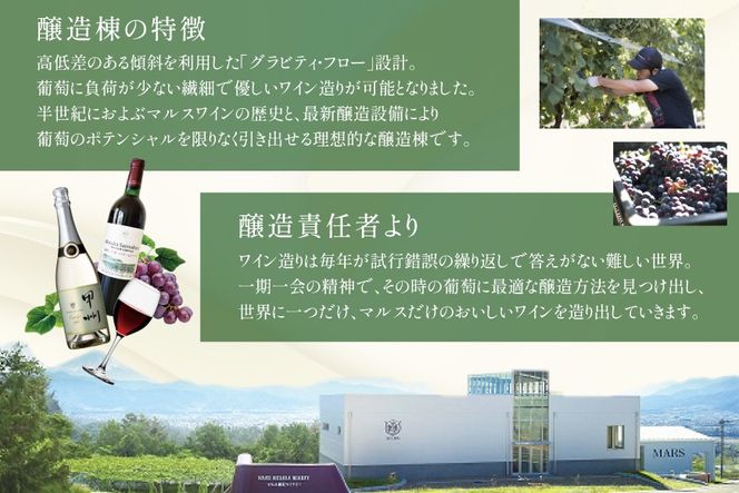 ワイン 赤 スパークリング おまかせ マルスワイン2本セット ～冬の陣～ / 本坊酒造 マルス穂坂ワイナリー / 山梨県 韮崎市 [20742335] 赤ワイン スパークリングワイン 長期熟成 冬のワイン シャトーマルス