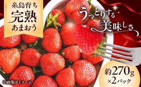 【先行予約】福岡県 糸島市産 完熟 あまおう いちご （約270g×2パック） 【2026年4月以降順次発送】 糸島市 / mhshops / 苺 イチゴ[AKQ001]