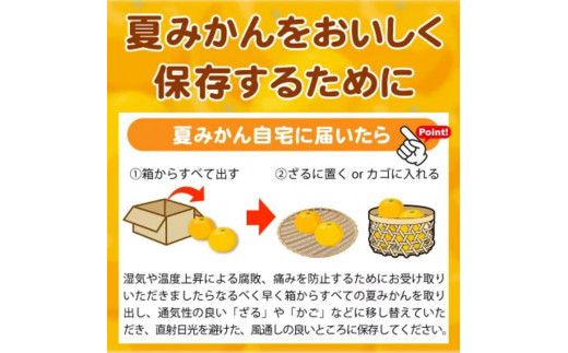 【先行予約】 夏みかん 7.2kg / 柑橘 果物 甘い みかん 有田 和歌山 ※2027年4月中旬頃〜4月下旬頃順次発送（お届け日指定不可） ※離島への配送不可　【uot775】
