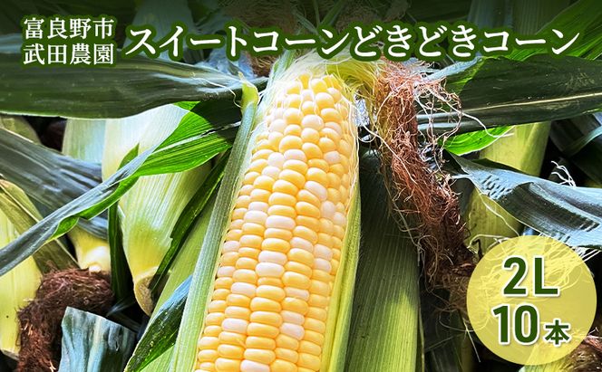 2026年夏発送 ［武田農園とれたて直送］スイートコーン どきどきコーン 2L 10本 北海道 富良野産 とうもろこし 野菜 新鮮 とうきび 甘い 産地直送 先行予約 限定