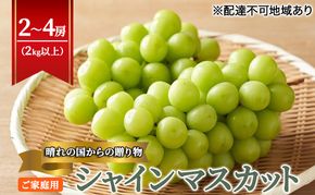 【2026年先行予約】【ご家庭用】 ぶどう 岡山県産 晴れの国からの 贈り物 シャインマスカット 2kg以上（2房～4房） 《2026年9月上旬-10月中旬頃出荷》 葡萄 フルーツ 果物 スイーツ 数量限定 期間限定 岡山 里庄町