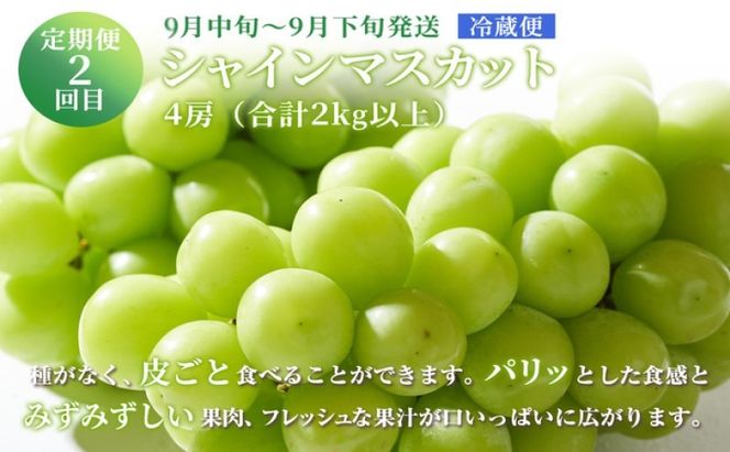 ぶどう 【2026年 先行予約】 晴れの国 おかやま の フルーツ 定期便 葡萄 ニュー ピオーネ シャインマスカット 岡山県産 国産 セット ギフト