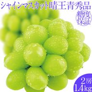 2026年予約受付中 シャインマスカット晴王2房 約1.4kg 7月～8月出荷 人気 岡山県産 種無し 皮ごと食べる みずみずしい フレッシュ 晴れの国 おかやま 果物大国 ハレノフルーツ