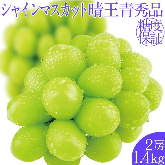 2026年予約受付中 シャインマスカット晴王2房 約1.4kg 7月～8月出荷 人気 岡山県産 種無し 皮ごと食べる みずみずしい フレッシュ 晴れの国 おかやま 果物大国 ハレノフルーツ