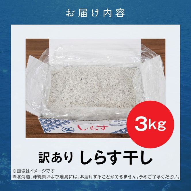 訳あり 3kg！バラエティ豊富な三河しらす H018-070