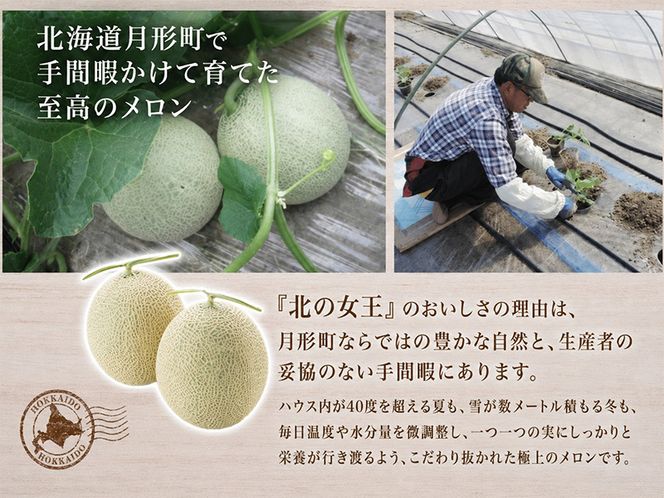 〈先行受付〉【2027年夏発送】北海道 赤肉メロン 北の女王 秀品 約1.6kg×2玉 計約3.2kg 令和9年 メロン 果物 フルーツ 旬 季節 希少 貴重 甘い 豊潤 国産 デザート ご褒美 産地直送 ギフト お祝い 贈答品 贈り物 常温