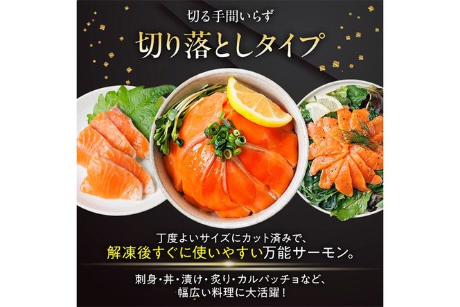 お刺身用 サーモン切り落とし (計1kg) 鮭 小分け 真空 パック 冷凍 刺身 シャケ サケ 魚 魚介 漬け丼 海鮮丼 【丸正水産】【AW-116】