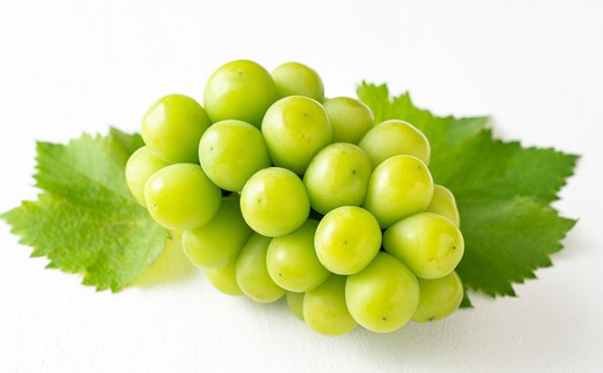 桃 ぶどう 定期便 2026年 先行予約 岡山満喫！ 清水 白桃 約2.0kg 6～8玉 ぶどう 2種 詰合せ 2回に分けてお届け!