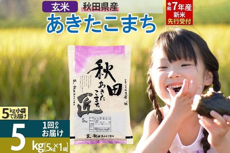 [玄米][令和7年産 新米予約] 秋田県産 あきたこまち 5kg (5kg×1袋) 5キロ お米 新米|02_snk-020301s