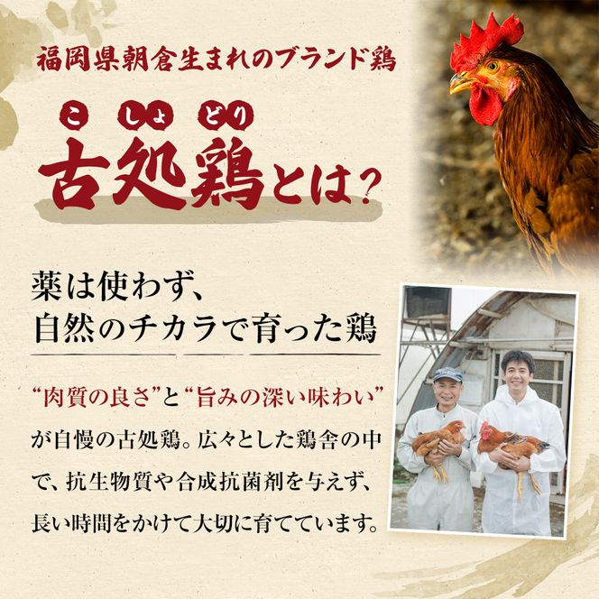 古処鶏水炊きご家庭用セット（小） (3～4人用) 鍋セット 鶏肉水炊き 夕飯 食卓 子供 炙りぶつ切り ムネ モモ つみれ ギフトセット 