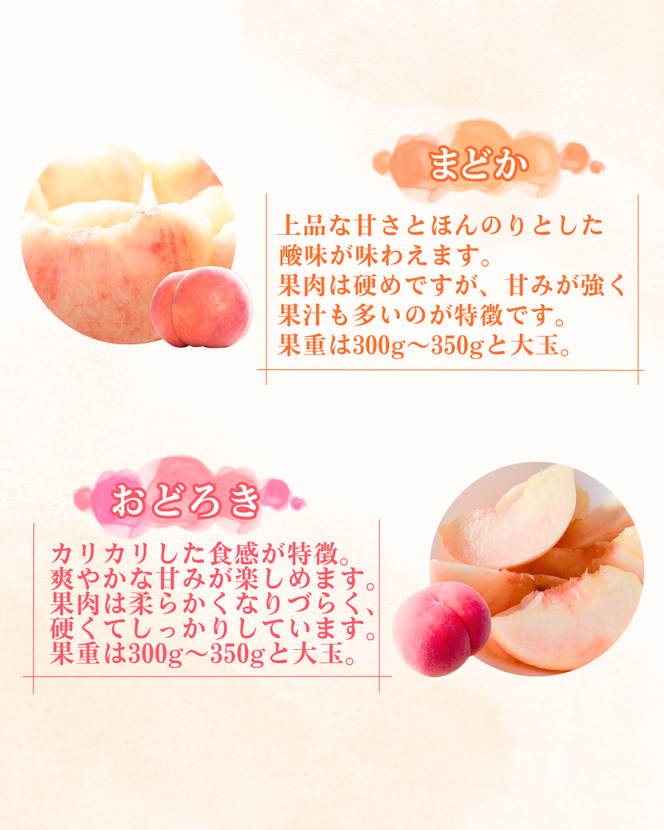 ≪ 2026年8月中旬より順次発送≫ 平泉町産 桃 約2.5kg (7～10玉)  黄金桃 / 桃 もも モモ 白桃 フルーツ 甘い 大文字りんご園 【dma501-og】