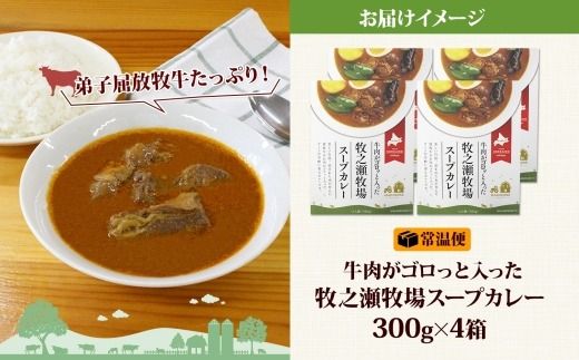 3022. ビーフ スープカレー 300g 4箱 カレー ビーフカレー スープ 牛 牛肉 放牧牛 牧場 レトルトカレー レトルト食品 レトルト 湯煎 レンジ 牧之瀬牧場 送料無料 北海道 弟子屈町