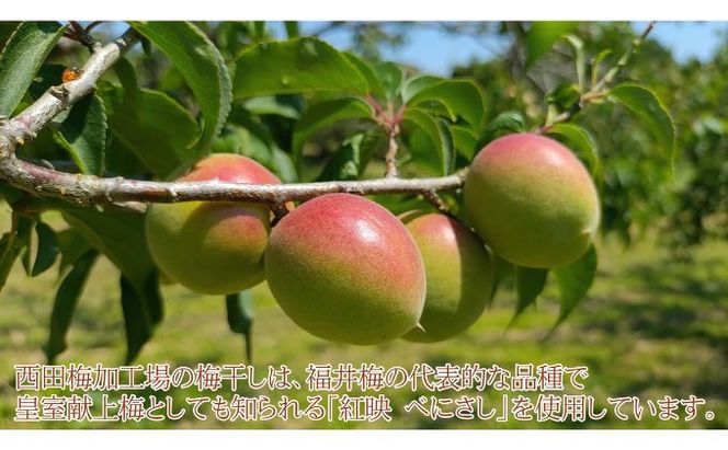 昔ながらの梅干し 一級品（福井県若狭町）伝統製法にこだわり仕上げた無添加・無着色の梅干し／ケース入り400g ご飯のお供 肉厚 種が小さい 紅映 天然塩 鮮やか 芳醇な香り コク 紫蘇漬け 二度漬け すっぱい 
