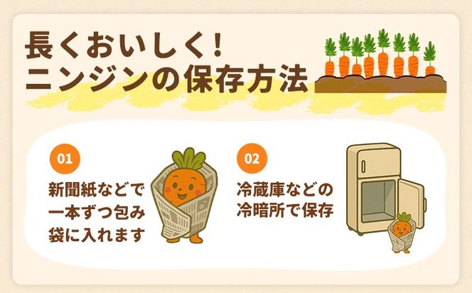 人参 訳あり にんじん ニンジン キャロット 2kg 5kg《12月中旬-3月上旬頃出荷》熊本県 大津町 人参 送料無料 にんじん キャロット 熊本県産 にんじん 5kg---oz_wknnjn_g123_25_3500_2kg---