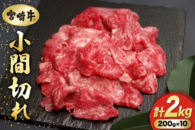 y{茧z {苍 Ԑ؂ 200g 10P v2kg [}~XgA {茧  31ag0147]  Y јa  a BBQ