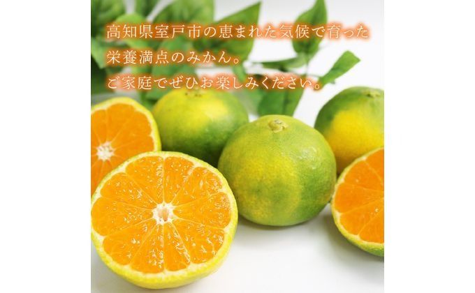 [先行予約]訳あり 黒潮の恵みをたっぷり浴びた さっぱり甘い 極早生みかん 5kg 〜数量限定〜 [rk050]!