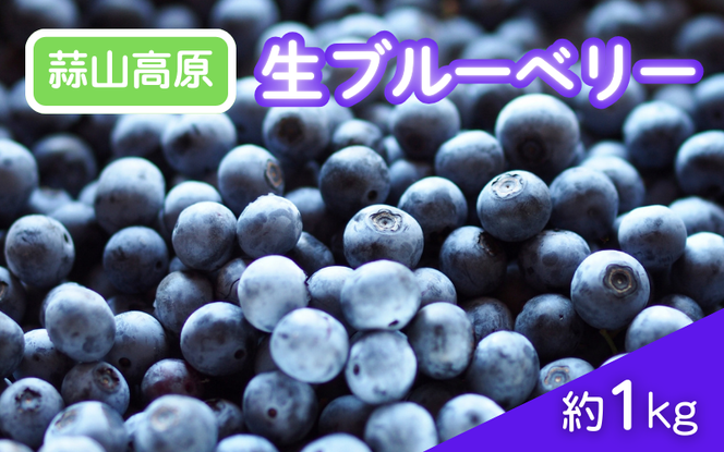 【2026年先行予約】蒜山高原 生ブルーベリー 1kg / 国産 ブルーベリー フルーツ 新鮮 果物 産直 産地直送 数量限定 岡山県 真庭市 蒜山 【kbkb001-01】