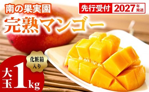 【化粧箱入】【先行受付・2027年発送】南の果実園 完熟マンゴー 大玉 1kg（2玉）〈贈答用化粧箱入り〉- 先行予約 沖縄県産 産地直送 アップルマンゴー 旬の味覚 季節の果物 贈り物 ギフト 沖縄県 八重瀬町