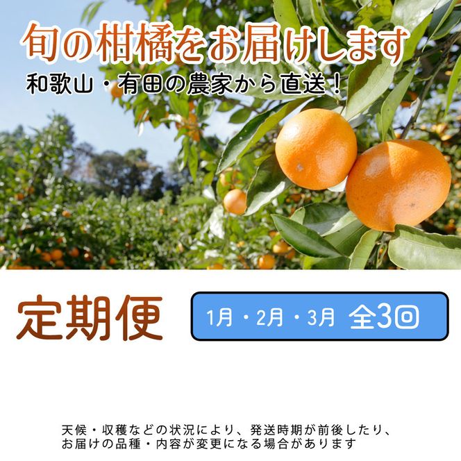 家庭用 柑橘定期便S（1～3月）全3回 ［IKE303］ 303446_BB90212